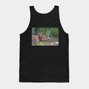 Cougars Tank Top